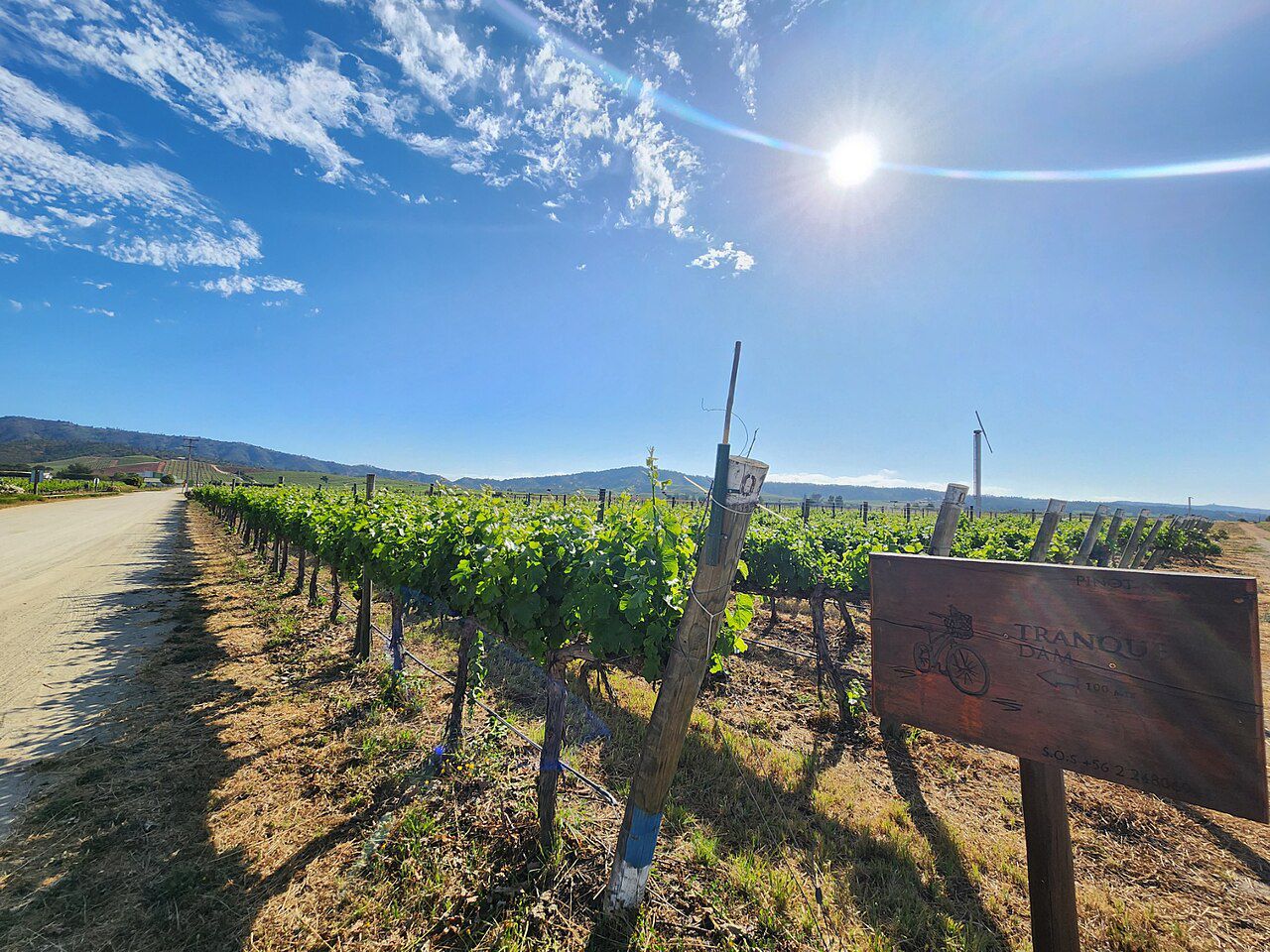 Tour de Viñedos