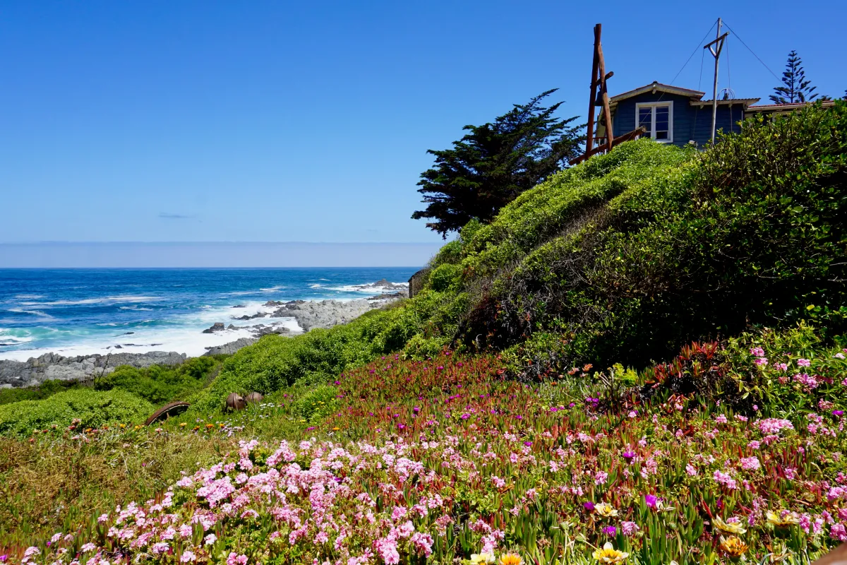 Tour Isla Negra